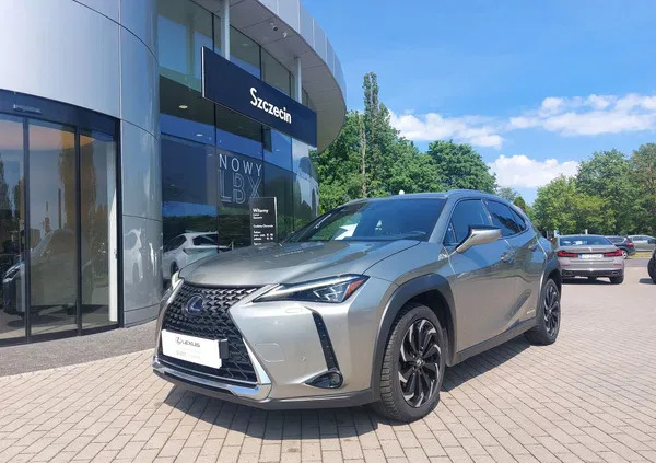 samochody osobowe Lexus UX cena 124900 przebieg: 120349, rok produkcji 2019 z Szczecin